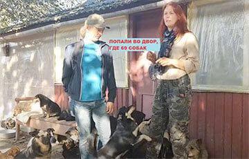Дом-будка, бассейн и 69 собак: как белоруска изменила свою жизнь ради животных - charter97.org - Белоруссия