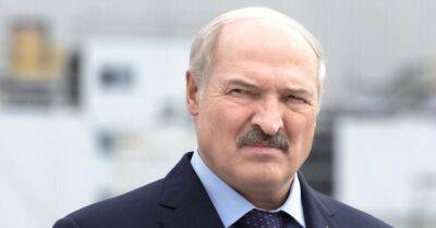 Александр Лукашенко - Инсайд от Лукашенко: СБУ якобы запросила встречу с белорусскими "коллегами" из КГБ - focus.ua - Украина - Белоруссия - Переговоры