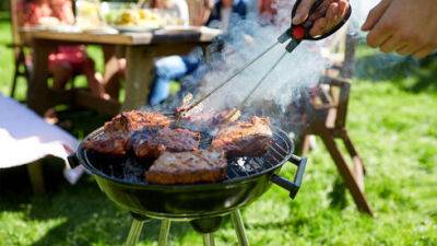 В Израиле наконец объяснили, как правильно жарить мясо на мангале - vesty.co.il - Израиль