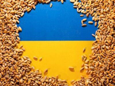 россия может заработать около 600 млн долларов в этом году на украденном украинском зерне - unn.com.ua - Россия - Украина - Киев - Крым - Турция - Одесская обл. - Одесса