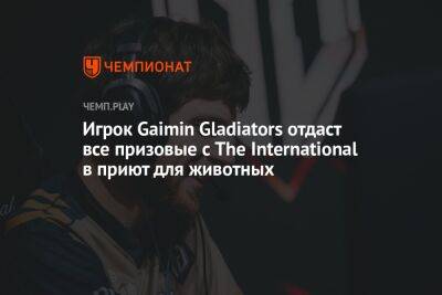 Игрок Gaimin Gladiators отдаст все призовые с The International в приют для животных - championat.com
