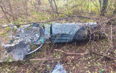 У Київській області знайшли уламки збитої ракети (фото) - rbc.ua - Украина - Україна