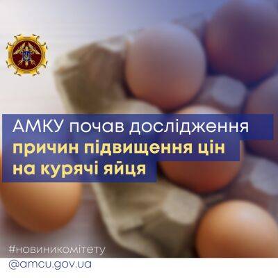 Рост цен на яйца: что говорят в антимонопольном комитете? - odessa-life.od.ua - Россия - Украина