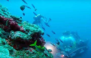 На Мальдивах обнаружили «оазис жизни» на глубине 500 метров - charter97.org - Белоруссия - Мальдивы