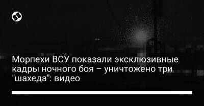 Морпехи ВСУ показали эксклюзивные кадры ночного боя – уничтожено три "шахеда": видео - liga.net - Украина - Николаевская обл.