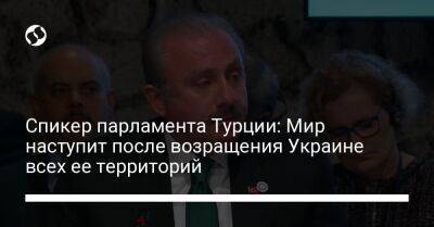 Мустафа Шентоп - Спикер парламента Турции: Мир наступит после возращения Украине всех ее территорий - liga.net - Россия - Украина - Турция