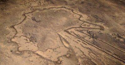 Воздушные змеи пустыни. Как выглядели смертельные ловушки для животных в древности - focus.ua - Украина - Казахстан - Узбекистан - Туркмения