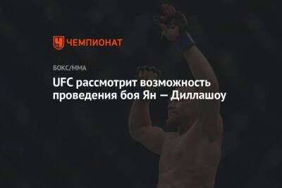 Шон Омэлли - Алджамейн Стерлинг - UFC рассмотрит возможность проведения боя Ян — Диллашоу - championat.com - США - Абу-Даби