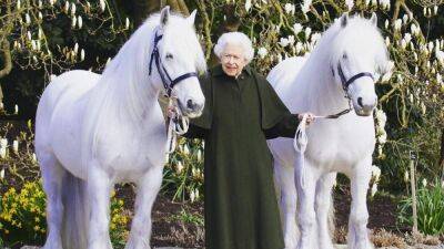 Кейт Миддлтон - принцесса Анна - Елизавета Іі II (Ii) - король Чарльз III (Iii) - Король Чарльз III продаст 14 лошадей Елизаветы II, передавшихся ему в наследство - 24tv.ua