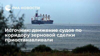 Владимир Путин - Источник: движение судов по коридору зерновой сделки останавливали из-за безопасности - smartmoney.one - Москва - Россия - Украина - Стамбул