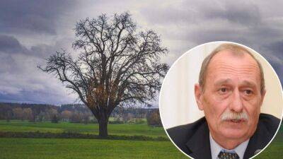 Николай Кульбида - На сколько точный прогноз погоды: синоптик рассказал, можно ли планировать события за 2-3 месяца - 24tv.ua - Украина