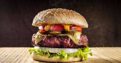 Придется затянуть пояса. Ученые рассказали, сколько гамбургеров можно съесть, не разрушив Землю - focus.ua - Украина - Новая Зеландия