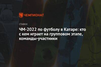 Владимир Путин - Иван Сергеев - ЧМ-2022 по футболу в Катаре: кто с кем играет на групповом этапе, команды-участники - championat.com - Россия - Южная Корея - США - Англия - Швейцария - Бельгия - Италия - Австралия - Оренбург - Германия - Франция - Япония - Мексика - Бразилия - Польша - Иран - Испания - Канада - Гана - Саудовская Аравия - Хорватия - Сербия - Дания - Голландия - Португалия - Эквадор - Тунис - Аргентина - Камерун - Катар - Марокко - Уругвай - Сенегал - Коста Рика