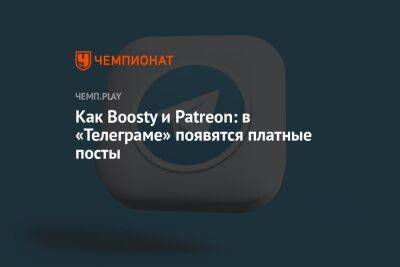 Павел Дуров - Как Boosty и Patreon: в «Телеграме» появятся платные посты - championat.com