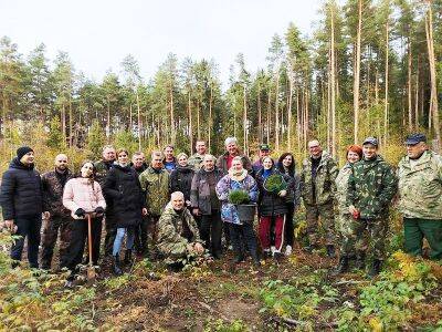 В Щучинском лесхозе в рамках акции «Обновим леса вместе!» восстановили 2,5 га буреломных участков - grodnonews.by - Белоруссия - Экология