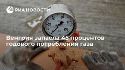 Сергей Лавров - Петер Сийярто - Глава МИД Венгрии Сийярто: запасы газохранилищ достигли 45 процентов годового потребления - smartmoney.one - Москва - Россия - Венгрия - Сербия - Европа