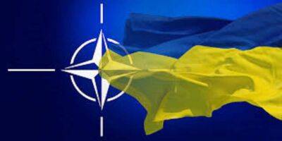 України Володимир Зеленський - Як українці голосували б на референдумі з питань вступу до ЄС та НАТО, з'ясували соціологи - lenta.ua - Україна