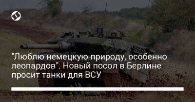 Алексей Макеев - "Люблю немецкую природу, особенно леопардов". Новый посол в Берлине просит танки для ВСУ - liga.net - Россия - Украина - Германия - Берлин