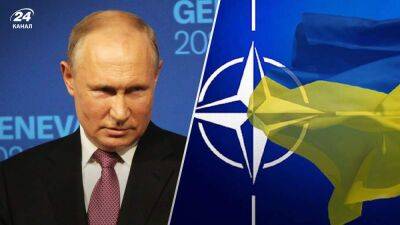 Путин должен прекратить использовать продукты как оружие – НАТО о срыве зернового соглашения - 24tv.ua - Россия - Украина - Лунгеск