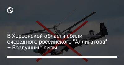 В Херсонской области сбили очередного российского "Аллигатора" – Воздушные силы - liga.net - Россия - Украина - Николаевская обл. - Херсонская обл.