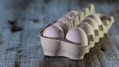 Действительно ли яйца подешевеют: аналитик дал ответ - 24tv.ua - Украина - Донецк