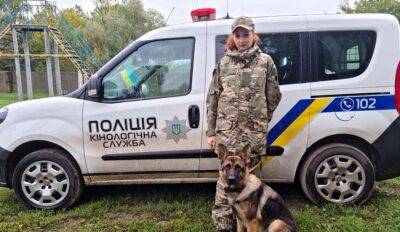 У Черкасах поліцейські з собакою знайшли зниклу дитину - lenta.ua - Украина - місто Черкаси