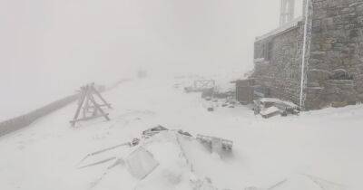 В Карпатах на горе Поп Иван снова выпал снег - dsnews.ua - Украина