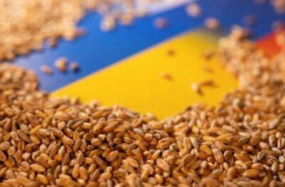 Виктор Рашников - Россия получила около $530 миллионов за продажу ворованного украинского зерна - minfin.com.ua - Россия - США - Сирия - Украина - Крым - Турция - Севастополь - Ливия - Ливан - Мелитополь
