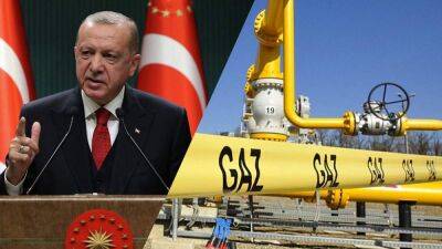 Турция просит Россию отсрочить платежи за газ до 2024 года, – Bloomberg - 24tv.ua - Россия - Украина - Турция - Газ