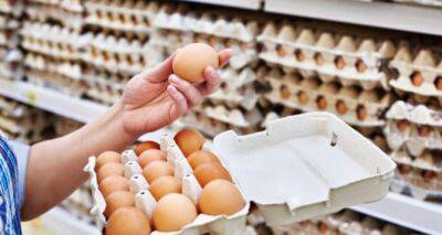 Светлана Литвин - Цены на яйца за месяц резко подскочили в Украине. С чем связано и что дальше - cxid.info - Украина - Херсонская обл.
