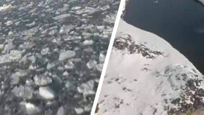 Украинские полярники показали Антарктиду с высоты птичьего полета: потрясающее видео с дрона - 24tv.ua - Антарктида