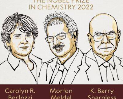 Нобелевская премия-2022: названы лауреаты в области химии - unn.com.ua - Украина - Киев - Швеция