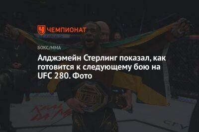 Петр Ян - Алджэмейн Стерлинг показал, как готовится к следующему бою на UFC 280. Фото - championat.com