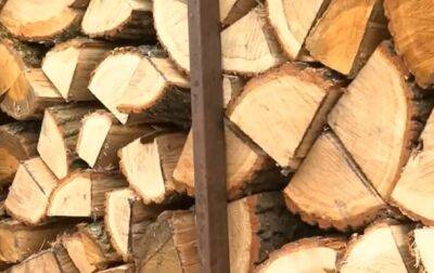 Руслан Стрелец - В Минэкологии подсчитали, сколько дров нужно украинцам на зиму - korrespondent.net - Россия - Украина