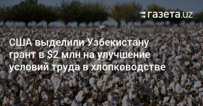 США выделили Узбекистану грант в $2 млн на улучшение условий труда в хлопководстве - gazeta.uz - США - Узбекистан