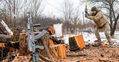 Руслан Стрелец - Дрова на зиму: сколько нужно и хватит ли древесины украинцам - focus.ua - Украина - Киев