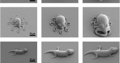 Ученые создали микроскопических существ из "умного" полимера: они растут и помнят (фото) - focus.ua - США - Украина - Германия