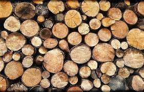 Как выбрать дрова для обогрева помещения: советы экспертов - golos.ua - Украина