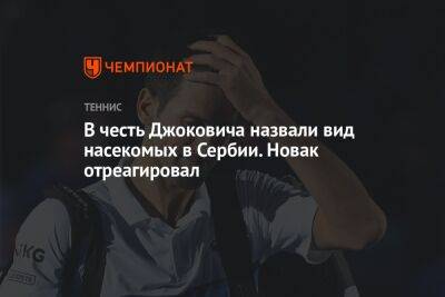 Джокович Новак - В честь Джоковича назвали вид насекомых в Сербии. Новак отреагировал - championat.com - Сербия