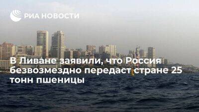 Владимир Путин - Дмитрий Патрушев - В Ливане заявили, что Россия передаст стране 25 тонн пшеницы и десять тонн топлива - smartmoney.one - Россия - Ливан
