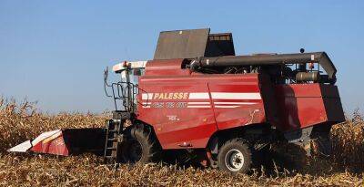 В Беларуси намолочено 10 млн тонн зерна с учетом рапса и кукурузы - grodnonews.by - Белоруссия