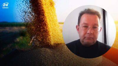 Олег Пендзин - Если экспорт зерна будет сорван: эксперт объяснил, как это скажется на украинцах - 24tv.ua - Украина - Турция