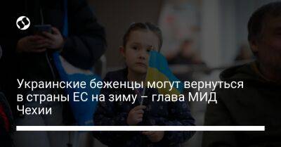 Вит Ракушан - Украинские беженцы могут вернуться в страны ЕС на зиму – глава МИД Чехии - liga.net - Россия - Украина - Киев - Чехия