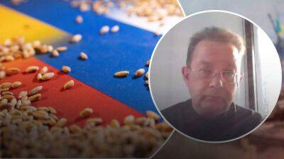 Олег Пендзин - Подписано под давлением Турции: выгодно ли для России было зерновое соглашение - 24tv.ua - Россия - Украина - Турция - Одесса - Тольятти