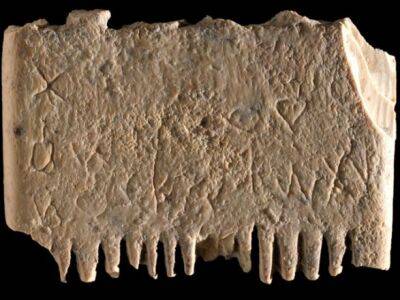 Археологи нашли гребень с древнейшим из известных полных предложений - unn.com.ua - Украина - Киев - Израиль - Иерусалим
