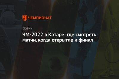 ЧМ-2022 в Катаре: где смотреть матчи, когда открытие и финал - championat.com - Россия - США - Франция - Эквадор - Катар