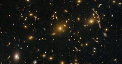 Невероятное везение. Телескоп Хаббл запечатлел сверхновую, спустя всего пару часов после взрыва (фото) - focus.ua - США - Украина - шт. Миннесота