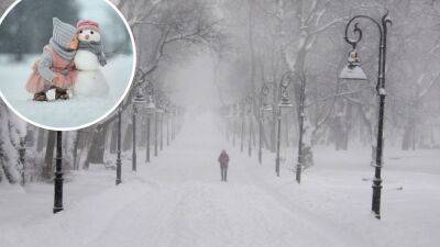 Когда в городах Украины выпадет первый снег: прогноз от синоптиков - 24tv.ua - Украина - Киев - Львов - Луцк - Ужгород - Винница