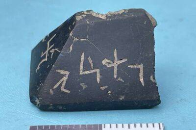 У Туреччині знайдено стародавній єгипетський амулет-печатку (Фото) - lenta.ua - Украина - Єгипет