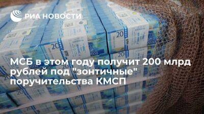 МСБ в этом году получит 200 млрд рублей под "зонтичные" поручительства КМСП - smartmoney.one